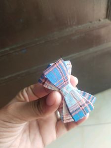 Combo Of Hair Bow Korean Clips