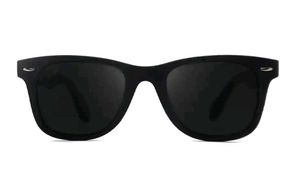 Classic Black Wayfarer Sunglasses