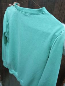 Mint Offline Sweatshirt