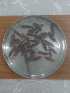 Food SunDrying Net Mesh Plate &amp; Thali cover