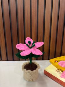 Handmade Crochet Lily Pot