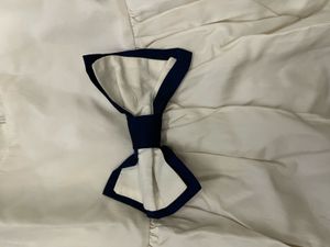 Elegant Silk Dress with Bow Detail