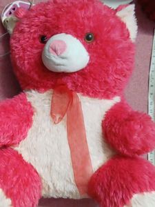 Large Pink Teddy Bear Plush