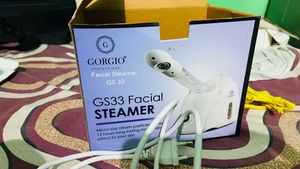 Gorgio Facial Steamer