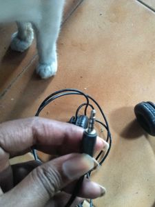 Black Headphones