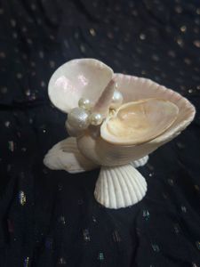 original Seashell Pearl jewellery organiser