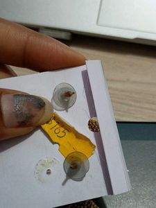 Fency Earrings