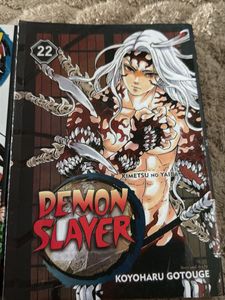 Demon Slayer: Kimetsu no Yaiba Vol. 22,23 Manga
