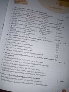 Enhanced Science Now book for class 3