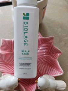Biolage Scalp Sync Anti-Dandruff Shampoo