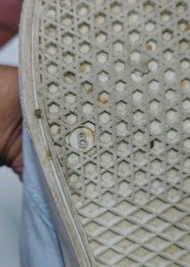Blue Canvas Casual Shoes