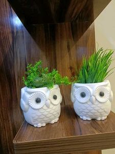 Two Beautiful Artificial Plants