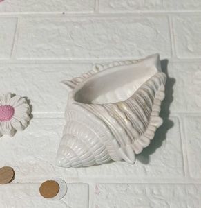Seashell Ceramic Decorative Bowl/ holder