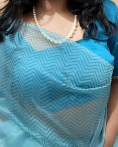Organza Saree