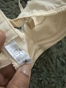 new Wacoal Lace Padded Bra