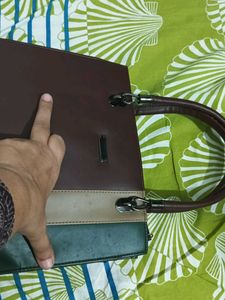 Brown Color Purse