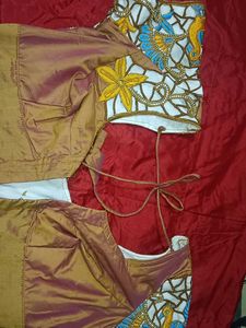 Embroidered Sari Blouse