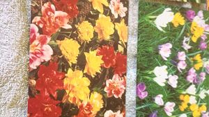 Vintage Floral new year greeting cards in hindi