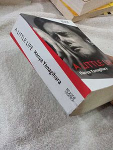 A Little Life by Hanya Yanagihara