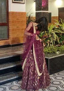 Organza Lehenga Choli