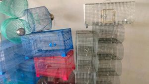 Birds Cage ( Pijara)