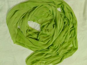 Beautiful Parrot Green Chiffon Duppata 💚