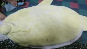 Cute Fish Kids Sleeping Bag