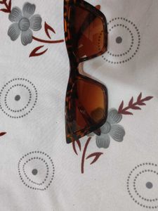 Stylish Tortoiseshell Sunglasses