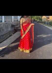 Stunning Red & Gold Embellished Lehenga Choli