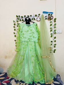 Beautiful Green Lehnga Choli