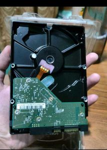 WD Blue 500GB Desktop Hard Drive HDD