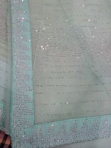 Sparkling Mint Green Saree