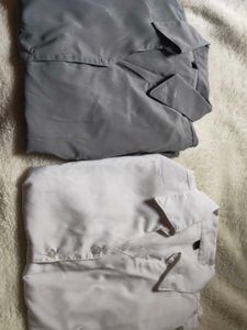 Classic Collared Button-Up Shirts