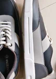 Aesthetic Sneaker !!!