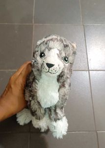 Plush Cat Toy