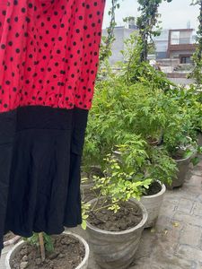 Red Polka Dot Dress with Black Skirt