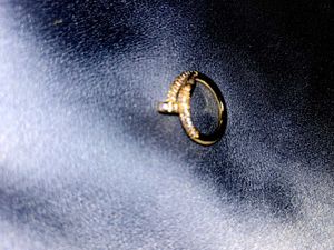Sparkling Gold Tone Ring