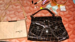 Chic Crocodile Texture bag  and  brown hand ba