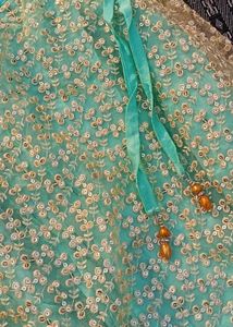 Stunning Embroidered Lehenga Choli