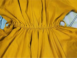 Mustard Yellow Fit and Flare Dress