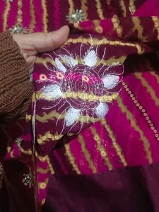 Elegant Embroidery Work Sarree