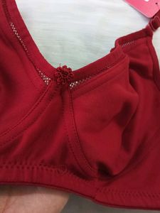 Ladies Undergarments