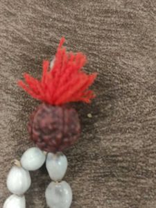 Vaijanti Mala with 5 Mukhi Rudraksha