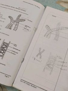 Biology Practical Book