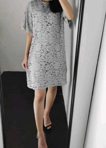 Elegant Lace Dress