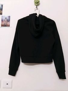 sweetshirt