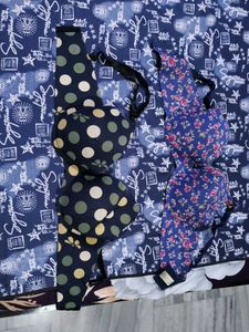 Two Cute Padded Bras with Cover