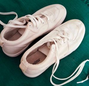Roadster White Casual Shoes