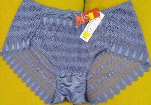 2013 -- Lace Trimmed transparent Panty