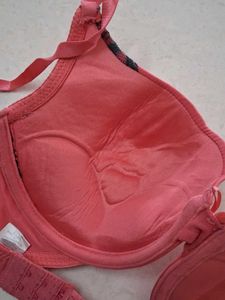 36C Coral Lace Trim Bra